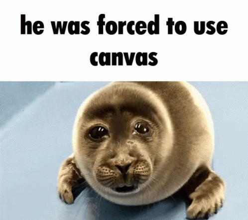 Seal He Was Forced to Use Canvas
