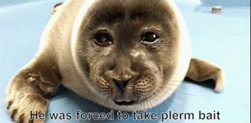 Seal Laying On Blue Surface Saying He Was Forced To Take Plerm Bait GIF
