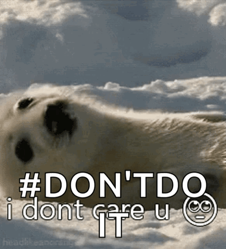 Seal Saying Dont Do I Don't Care
