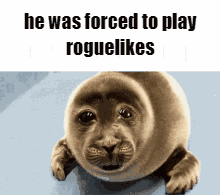 Seal Saying He Was Forced to Play Roguelikes