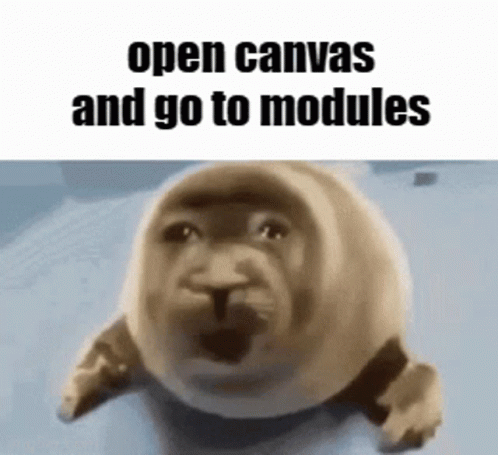 Seal Saying Open Canvas and Go to Modules