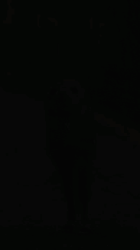 Seal That Looks Like Horse Walking GIF
