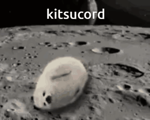 Seal Walking on Moon with Kitsucord