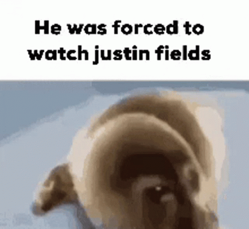 Seal Was Forced To Watch Justin Fields GIF