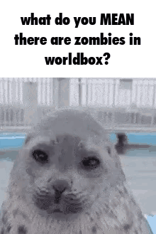Seal What Do You Mean Zombies In Worldbox GIF