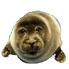 Seal with Cat's Face