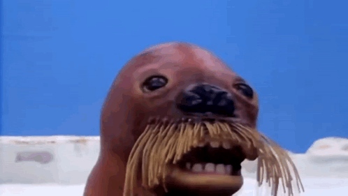 Seal with Mustache and Teeth