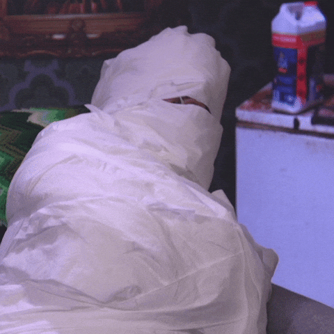 Sealed Mummy Coughing GIF