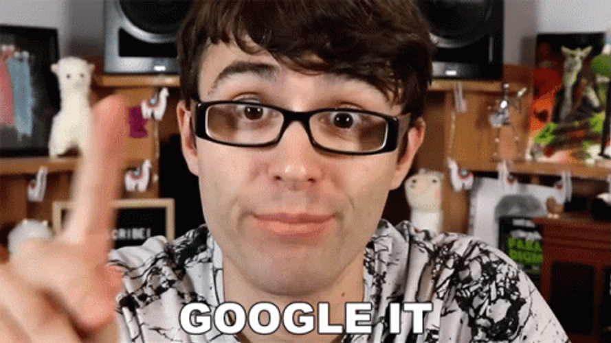 Search Google It Or Type A Url Meme GIF