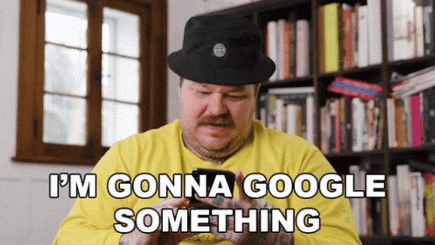 Search Google Something Or Type A Url Meme GIF