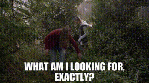 Clueless Ladies Searching In Forest GIF