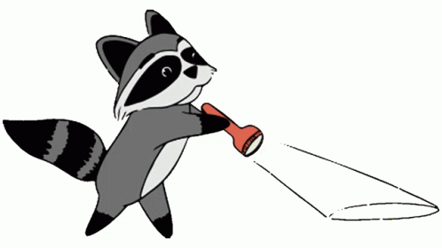 Searching Cartoon Racoon Flash Light GIF