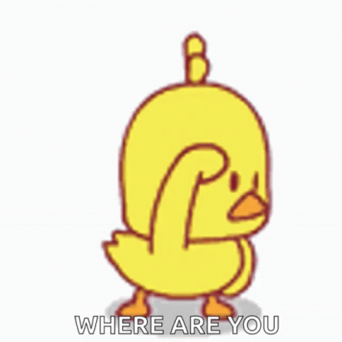 Cute Cartoon Duckling Searching Around GIF