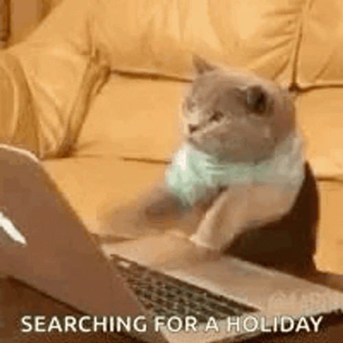 Searching Holiday Time GIF