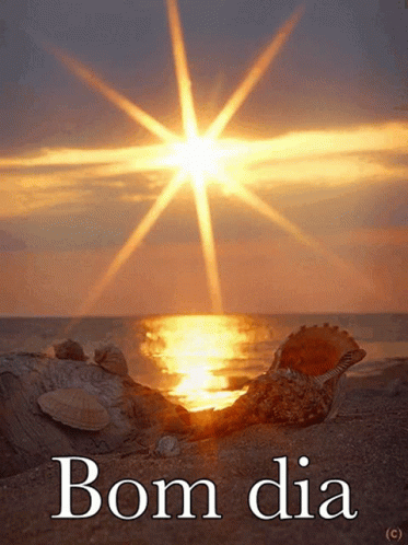 Seashell on Beach with Bom Dia