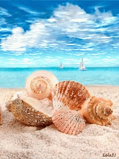 Seashells On A Sandy Beach With The Name Lola31 On The Bottom Right GIF