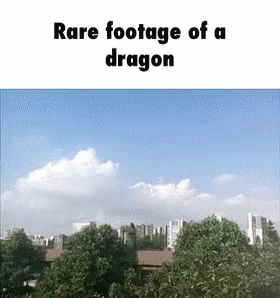 Seasmoke Dragon Rare Footage GIF
