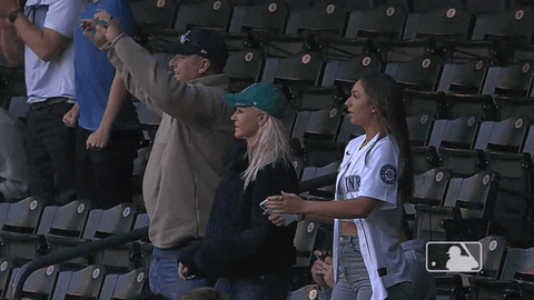 Seattle Mariners Fans GIF