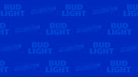 Seattle Seahawks Active Mascot GIF