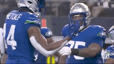 Seattle Seahawks Dk Metcalf Joyous Day GIF