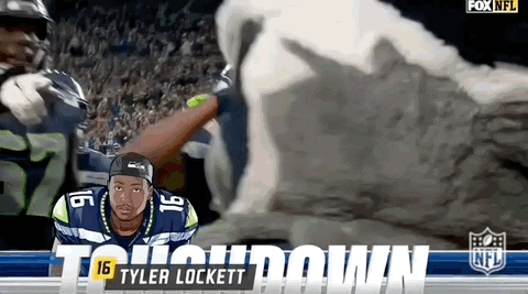Seattle Seahawks Funny Salute GIF