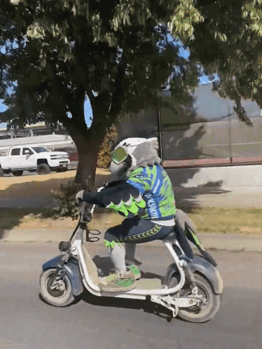 Seattle Seahawks Mascot Riding Motorcycle GIF