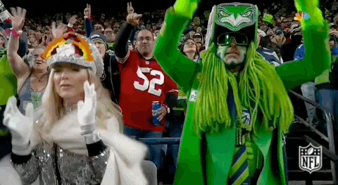 Seattle Seahawks Supporters With Costume GIF