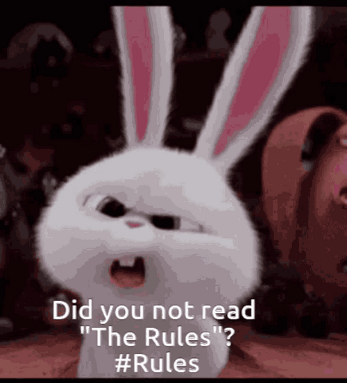 Secret Life Of Pets Snowball The Rules GIF