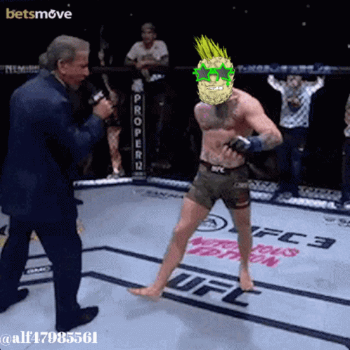 Secret Pineapple Society Mcgregor Walk GIF