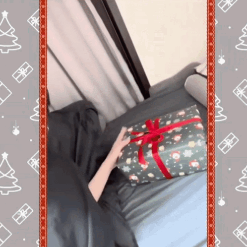 Secret Santa Approved Gift GIF