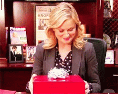 Secret Santa Leslie Knope GIF