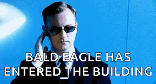 Secret Service Bald Eagle Has Entered The Building GIF