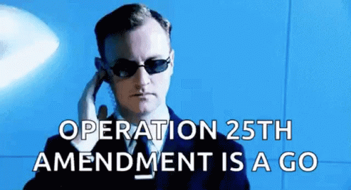 Secret Service Operation 25th GIF