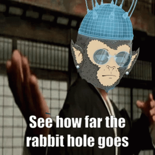 See How Far The Rabbit Hole Goes GIF