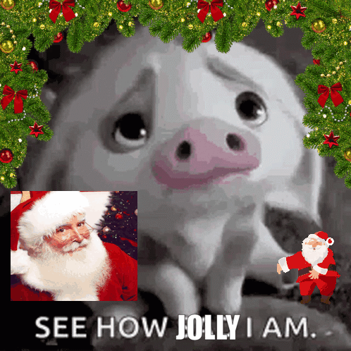 See How Jolly I Am Christmas Meme GIF
