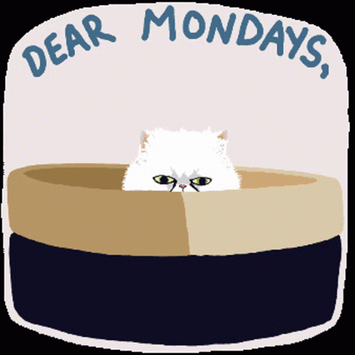 See You Monday Cat Peeking GIF