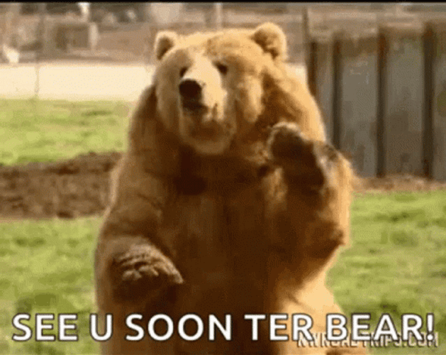 See You Soon Waving Bear GIF