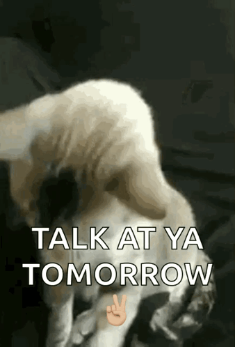 See You Talk To Ya Tomorrow GIF