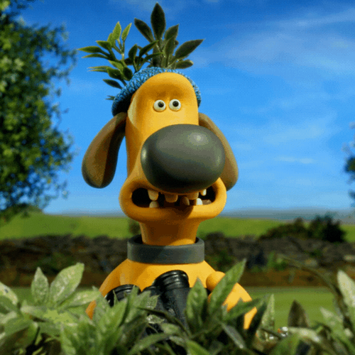 Seek Bitzer Telescope Spying Shaun The Sheep GIF