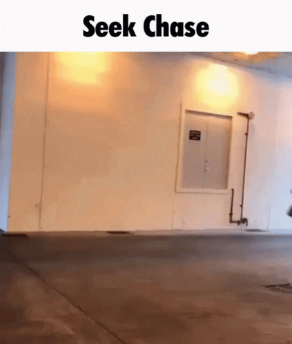 Seek Chase Run Meme GIF