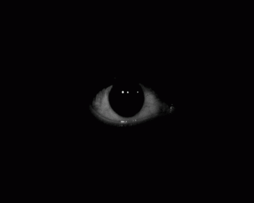 Seek Scary Eye Rolling GIF