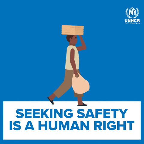 Seeking Safety Is A Human Right GIF