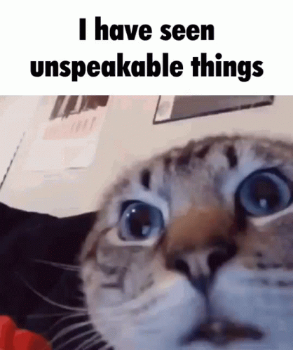 Seen Unspeakable Things Cat Face Closeup GIF