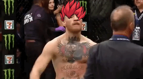 Sei Seiyan Conor Mcgregor Walk GIF