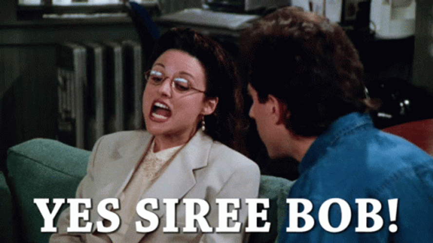 Seinfeld Yes Siree Elaine GIF