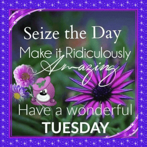 Seize The Day Have A Blessed Tuesday GIF