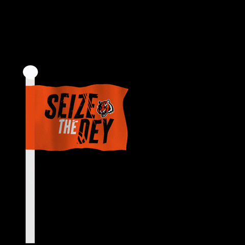 Seize The Dey Cincinnati Bengals Flag GIF