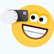 Smiley Sticker Selfie GIF