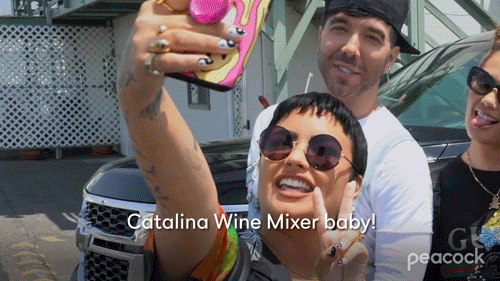 Selfie Demi Lovato Catalina Wine Mixer GIF