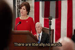 Selina Meyer Veep There Are Literally No Words GIF